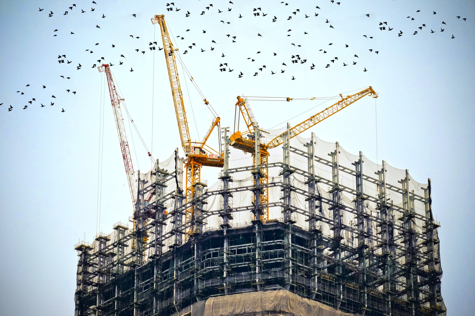 Cranes above a building under construction